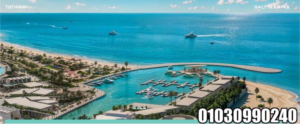 هل سولت مارينا مناسب للاستثمار؟