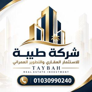 شركة طيبة للاستثمار العقاري logo